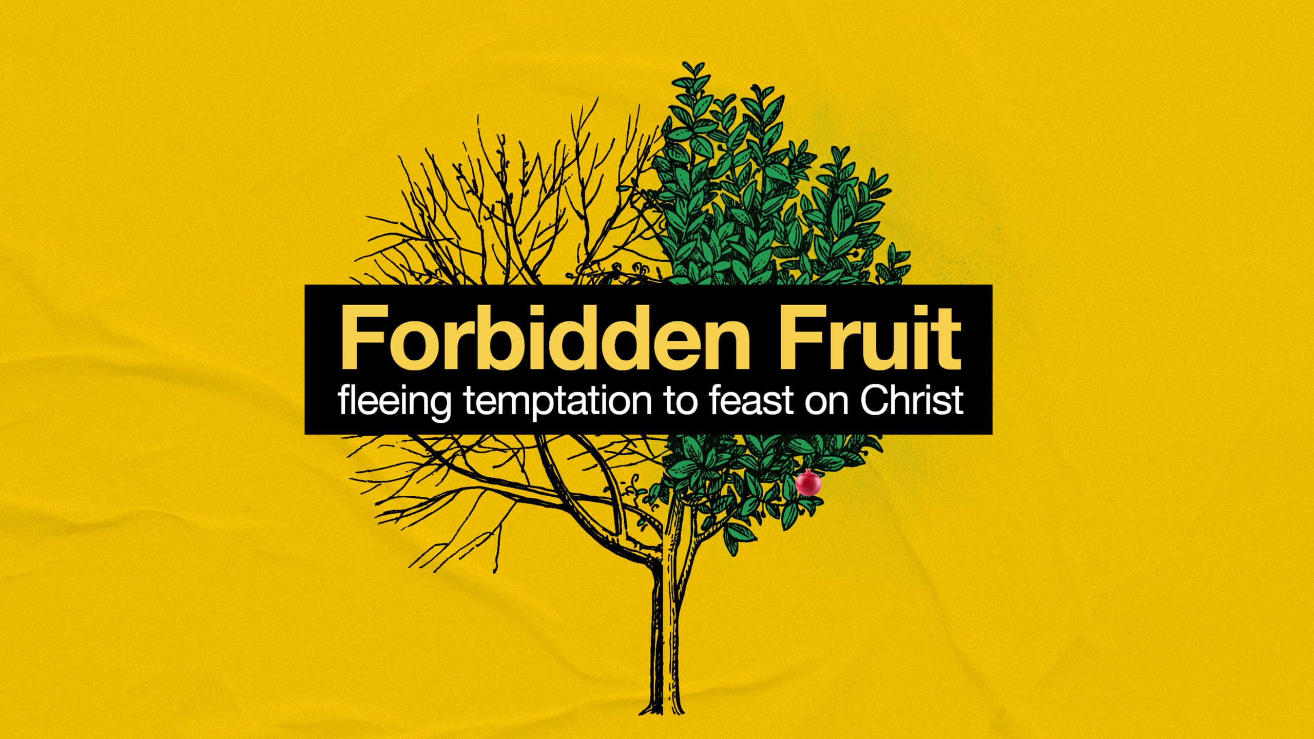 The Armor of God Pillar of Dumfries